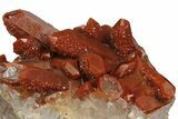 Sparkly, Red Quartz Crystal Cluster - Morocco #173916-2
